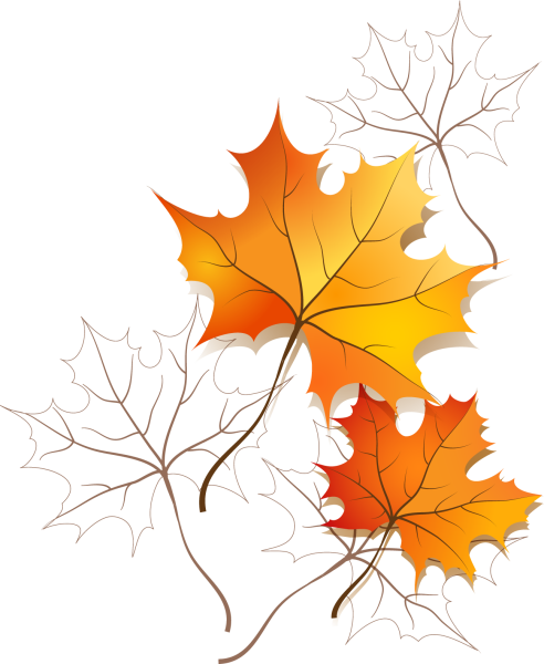 Клипарт осенние листья на прозрачном фоне