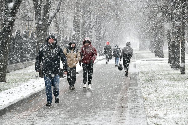 Снегопад в городе