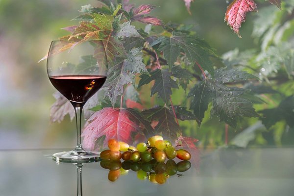 Легкого понедельника осень