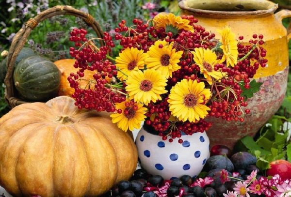 Доброго осеннего четверга