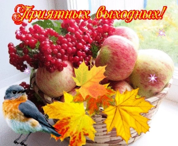 Хороших осенних выходных