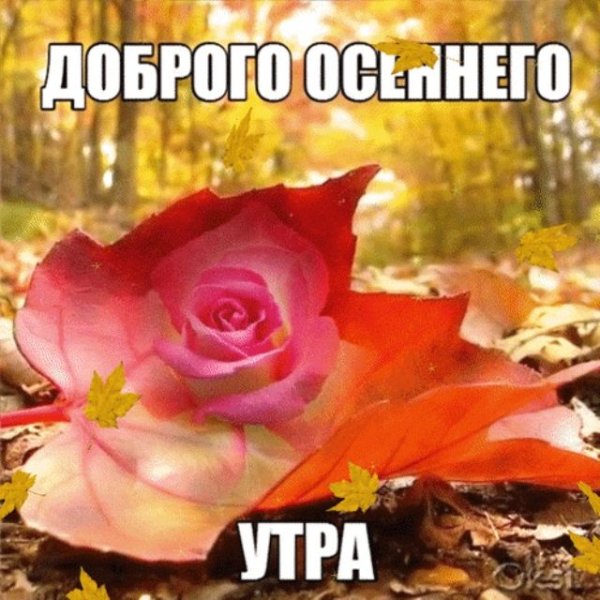 Открытка с добрым осенним утром женщине