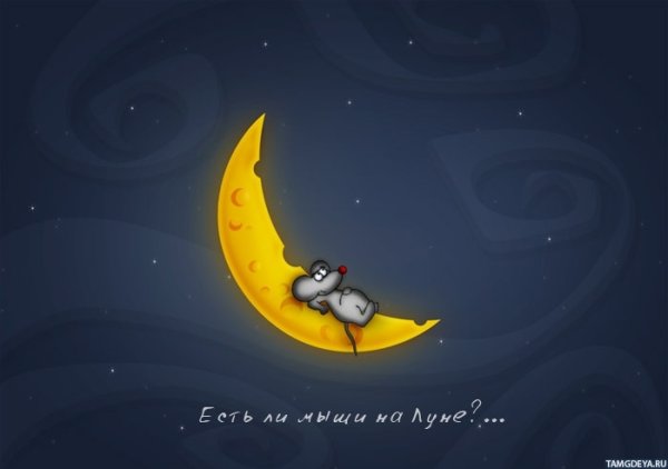 Мышь на Луне