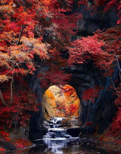 Осенний пейзаж