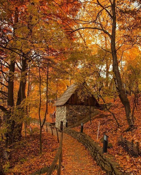 Шикарная осень