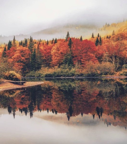 Природа осенью Эстетика