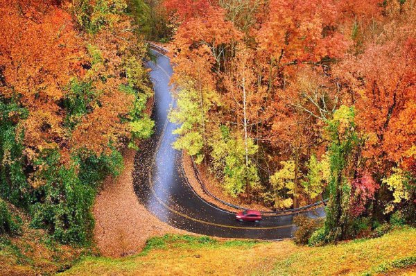 Золотая осень необычная