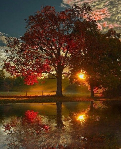 Осенний закат