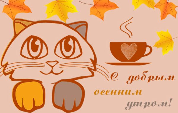 С добрым осенним утром с котом
