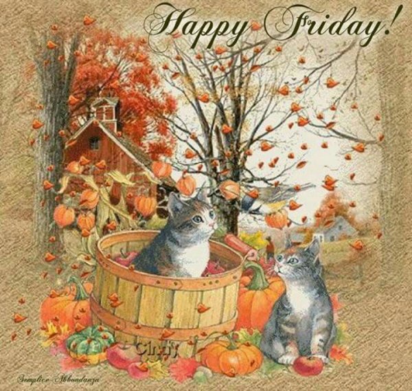 Осенние открытки с котами