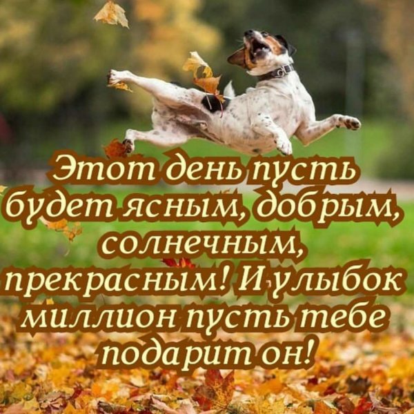 Доброго прекрасного утра и отличного настроения