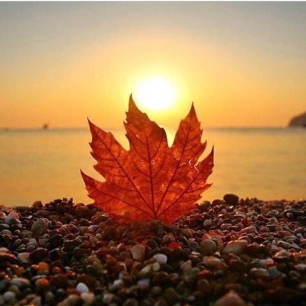 Доброе осеннее утро с мудрыми пожеланиями