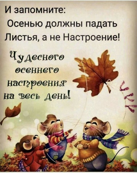 Позитивные цитаты