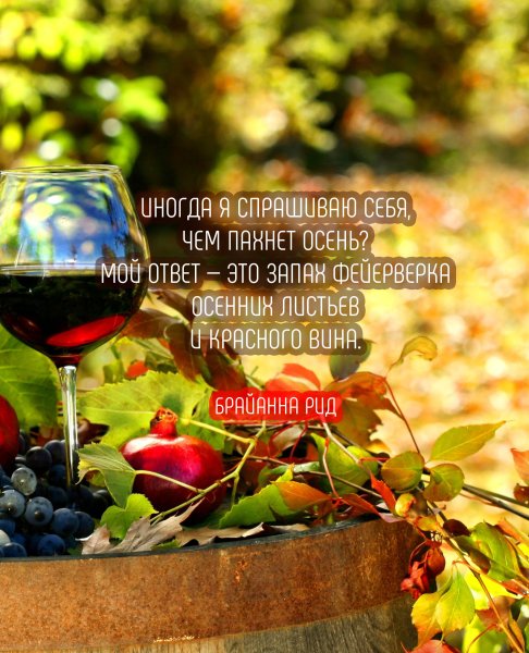 Осенние цитаты