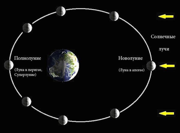 Орбита Луны вокруг земли схема