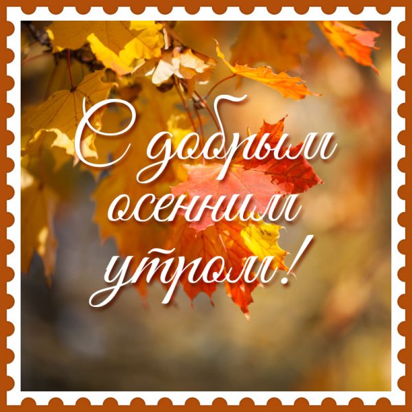 Доброе осеннее утречко и хорошего дня