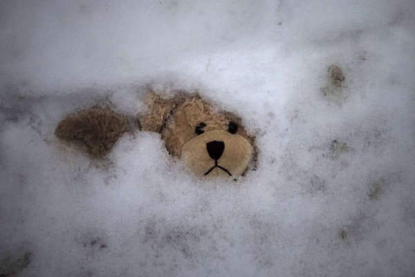 Плюшевый мишка на снегу