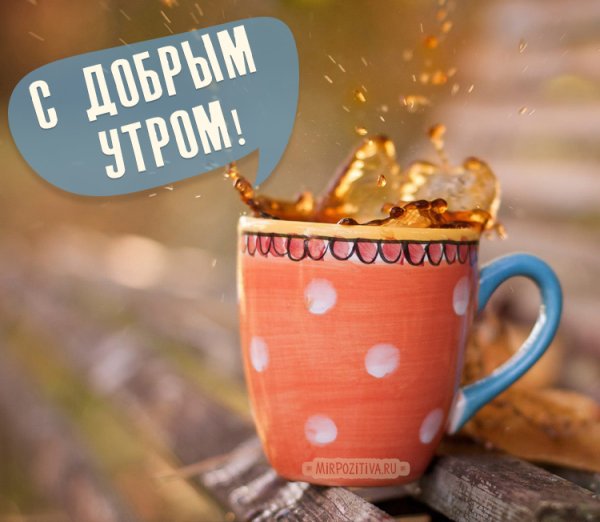 Необычные открытки с добрым утром