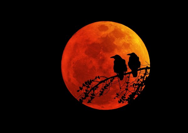 Оранжевая Луна на черном фоне