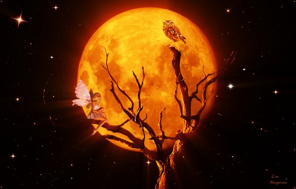 Оранжевое полнолуние