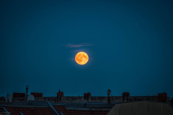 Огромная оранжевая Луна