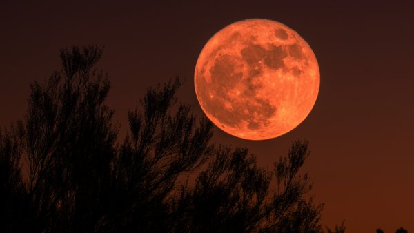 Ночное небо с луной