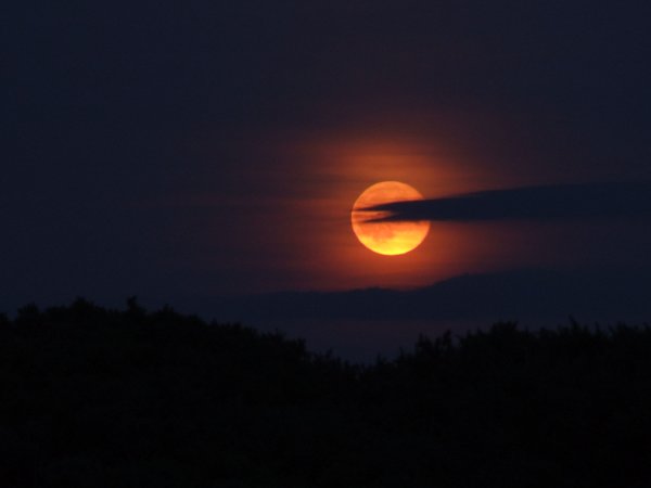 Оранжевая Луна