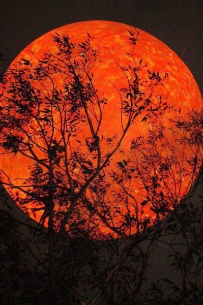 Луна Самайна