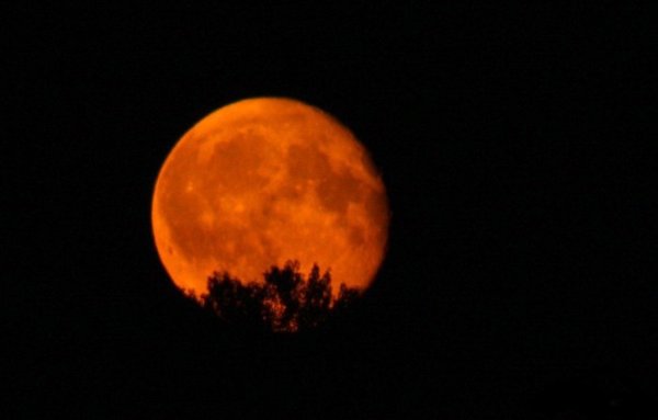 Красный диск Луны