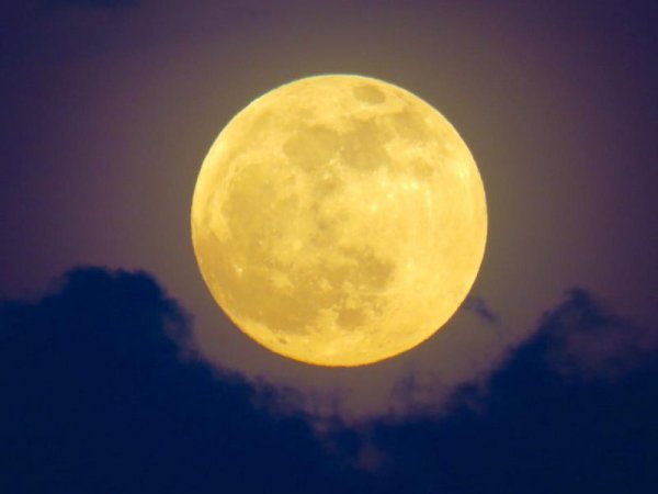 Оранжевая Луна