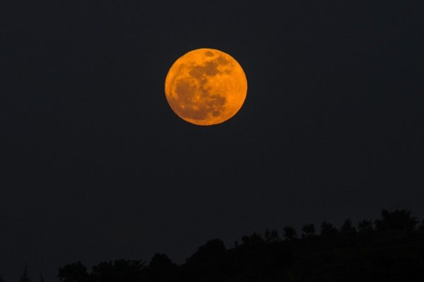 Суперлуние книга