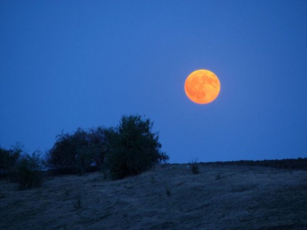 Луна желто оранжевого цвета