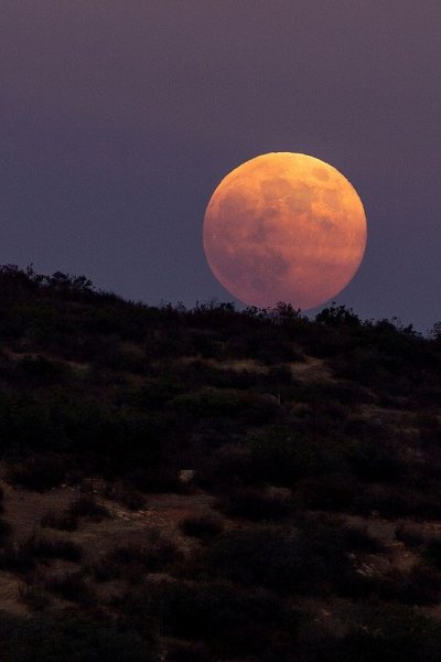 Оранжевая Луна