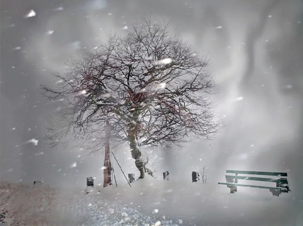 Сильный зимний ветер