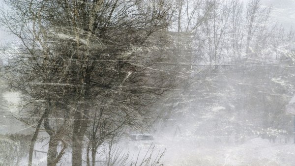 Ветер метель