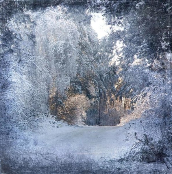 Зимняя вьюга