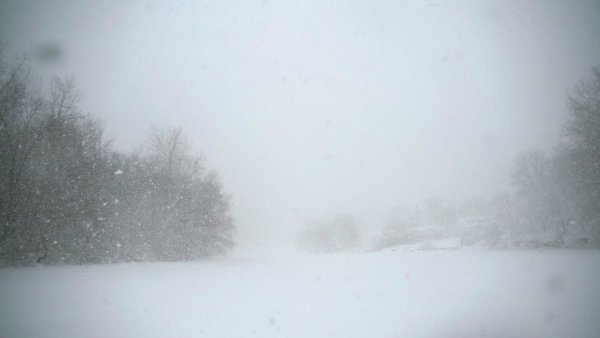 Снежная буря в степи