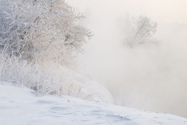 Туман в снегу