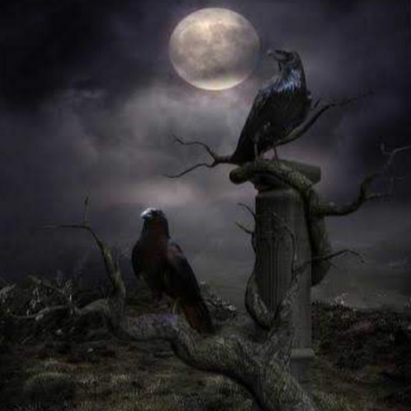 Мистический ворон