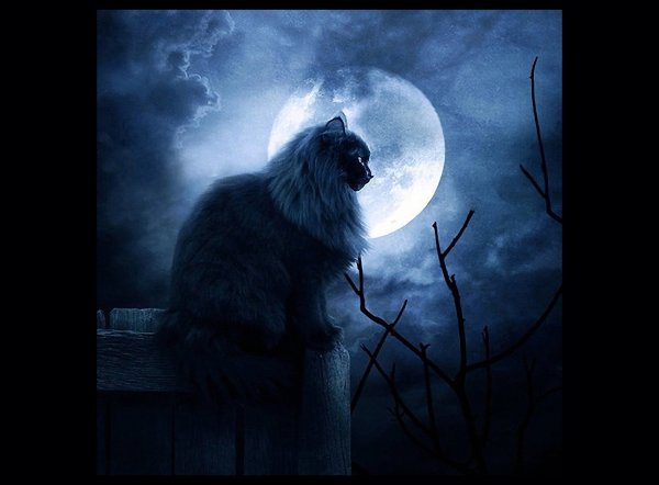 Призрак на фоне Луны