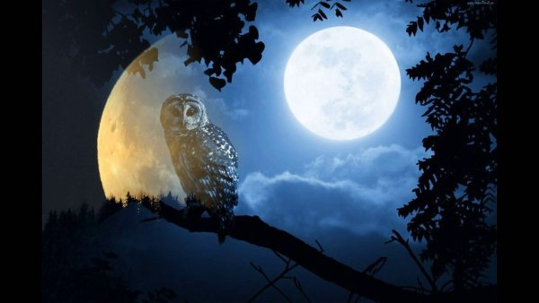 Магическое полнолуние
