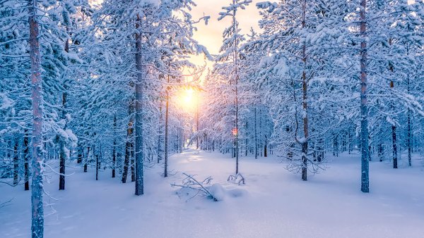 Снежная зима