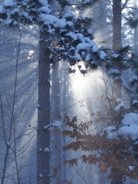 Густой снегопад