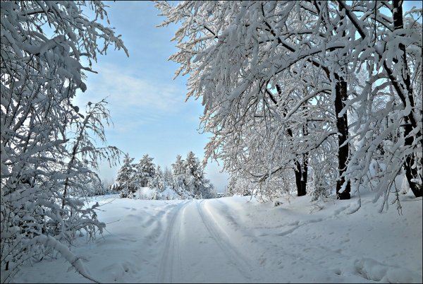 Зимние картинки