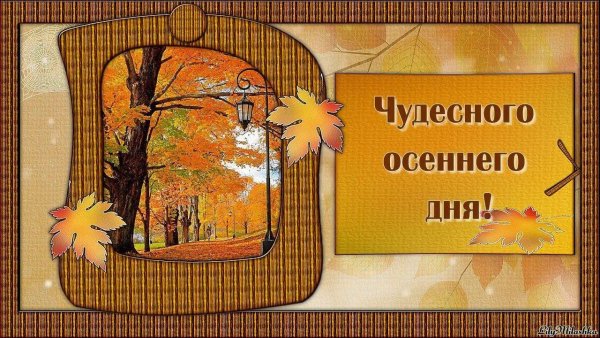 Хорошего осеннего дня