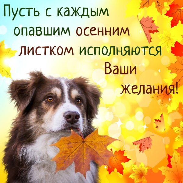 Осенние открытки с пожеланиями