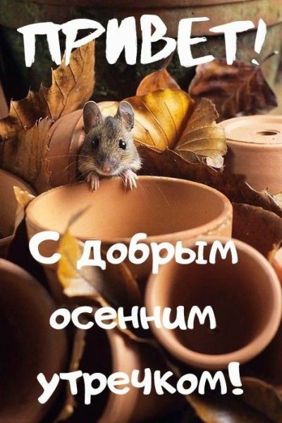 С добрым осенним утром прикольные