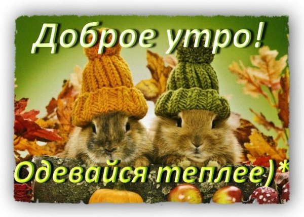 Доброе утро одевайся теплее