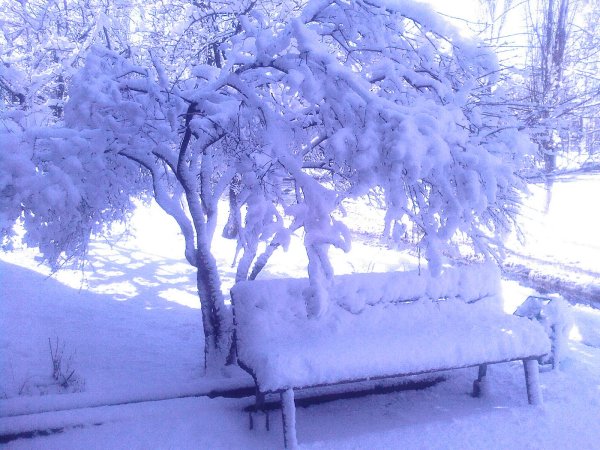 Снега много зима пришла