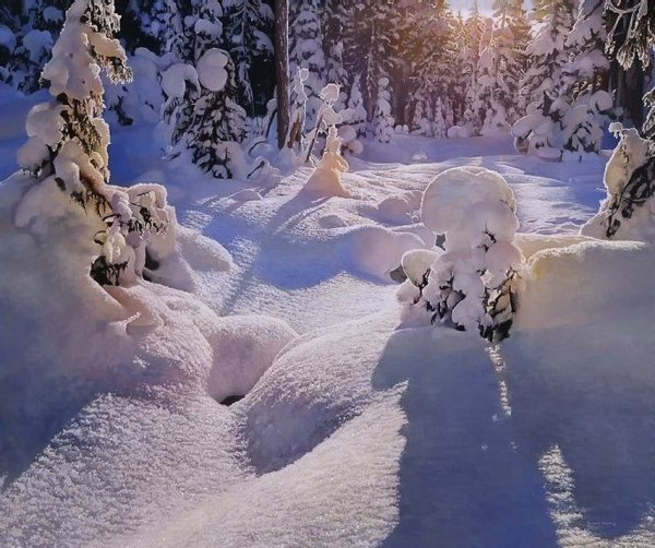 Художник Richard Mravik лес